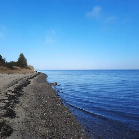 Feriehus 6 Person In Hojslev-by Traum