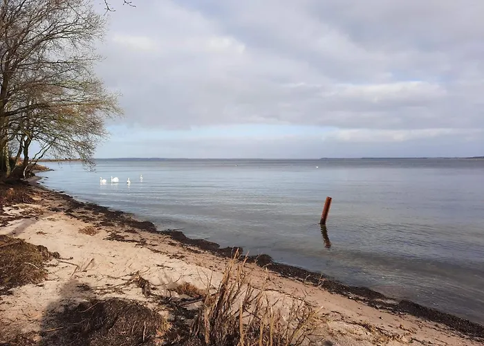 6 Person In Hojslev-by Traum Дом отдыха Hojslev